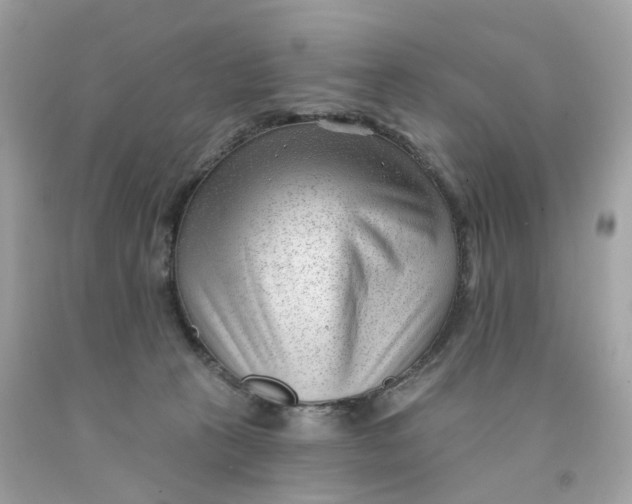 X0000091470273200709061824