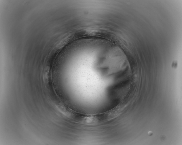 X0000091470275200709061824