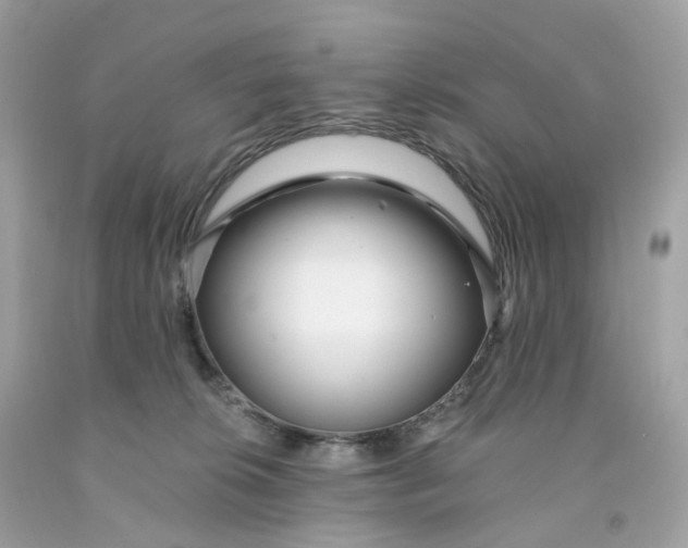 X0000091470276200709061824