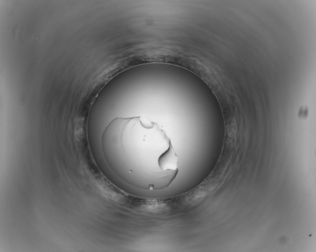 X0000091470278200709061824