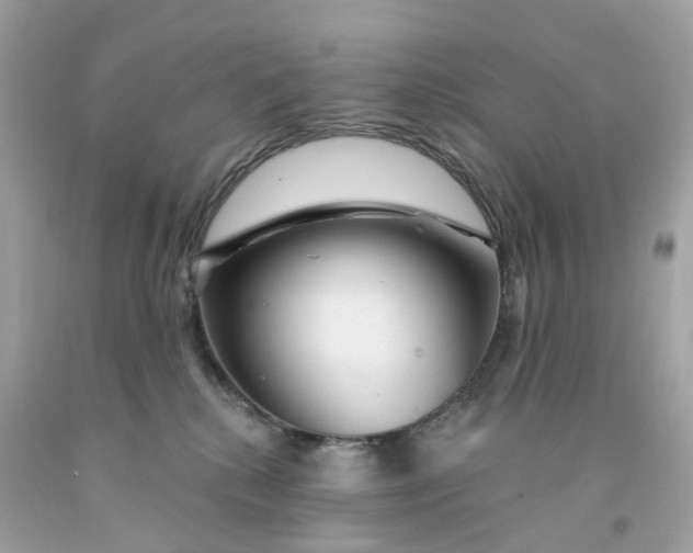 X0000091470280200709061824