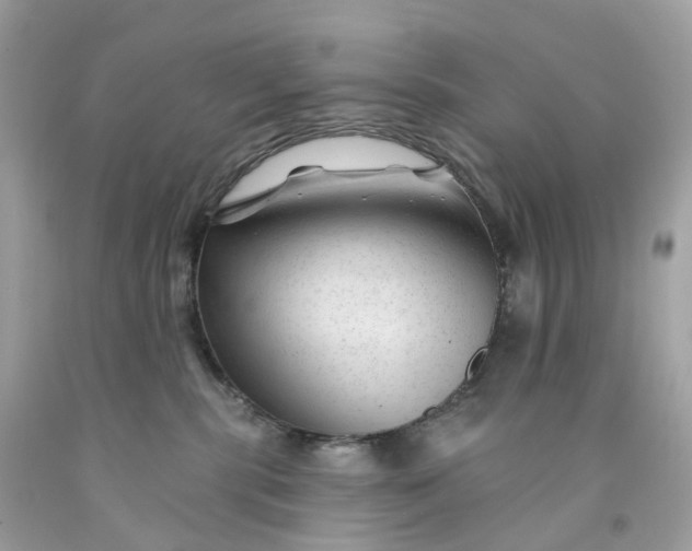 X0000091470283200709061824