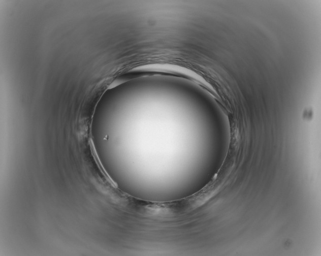 X0000091470284200709061824