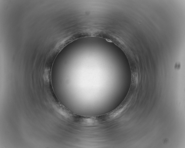 X0000091470286200709061824