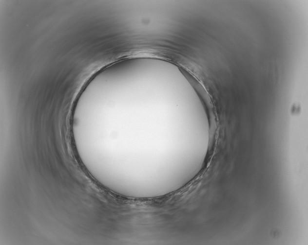 X0000091470289200709061824