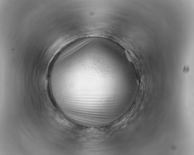 X0000091470290200709061824