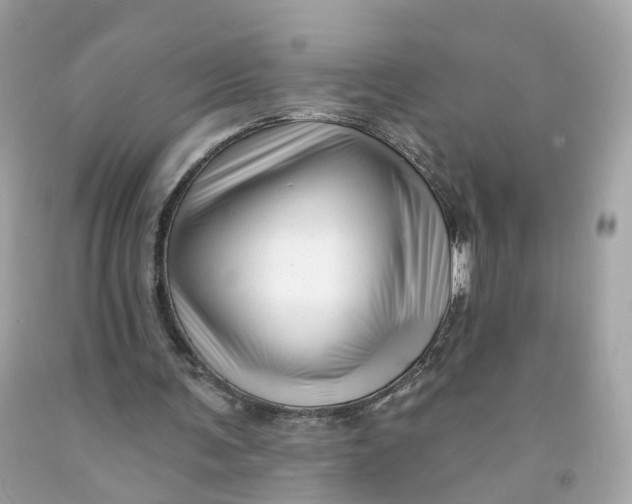 X0000091470291200709061824