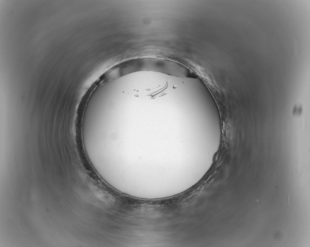 X0000091470292200709061824