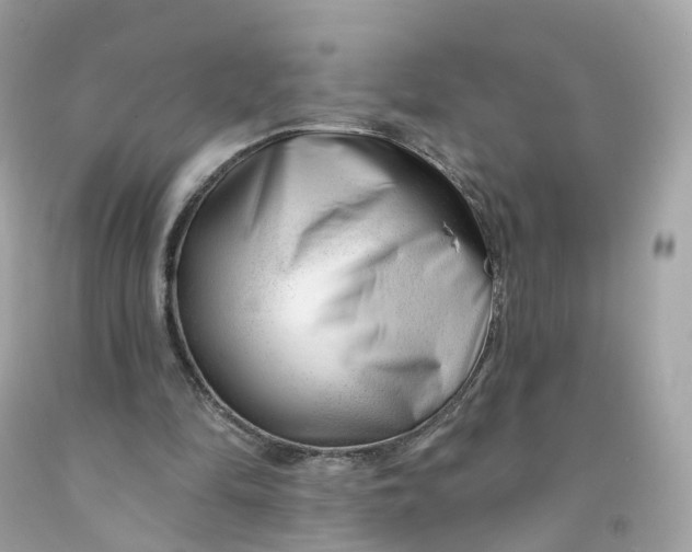 X0000091470294200709061824