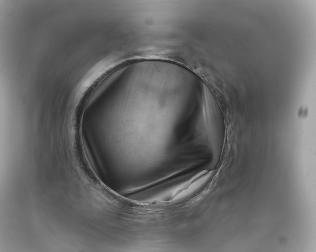 X0000091470295200709061824