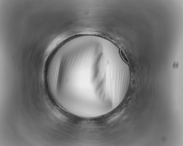 X0000091470296200709061824