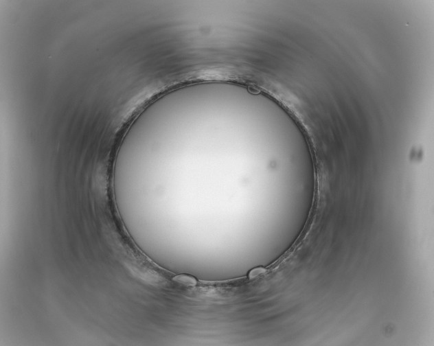 X0000091470297200709061824