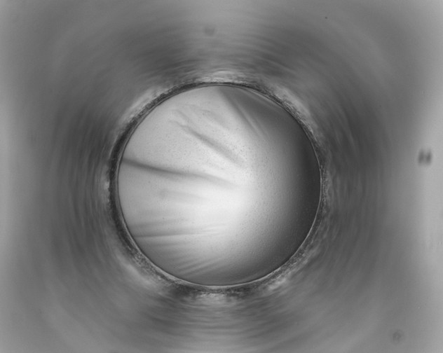 X0000091470298200709061824