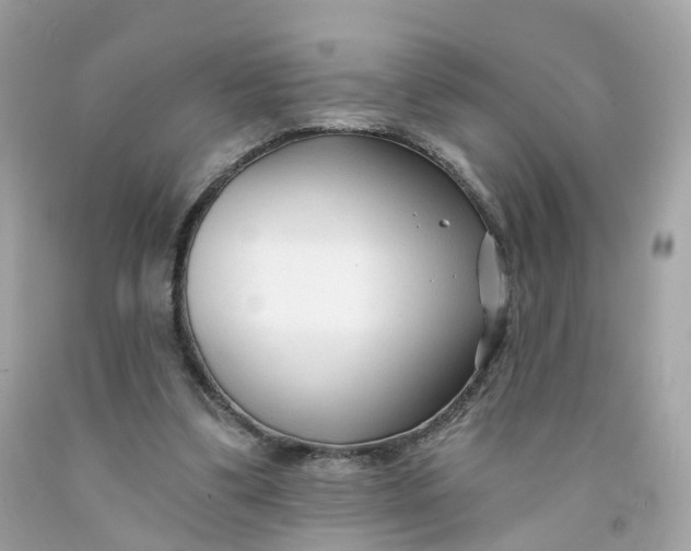 X0000091470299200709061824