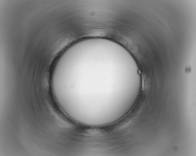 X0000091470300200709061824