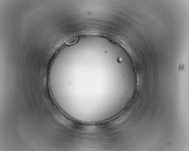 X0000091470301200709061824