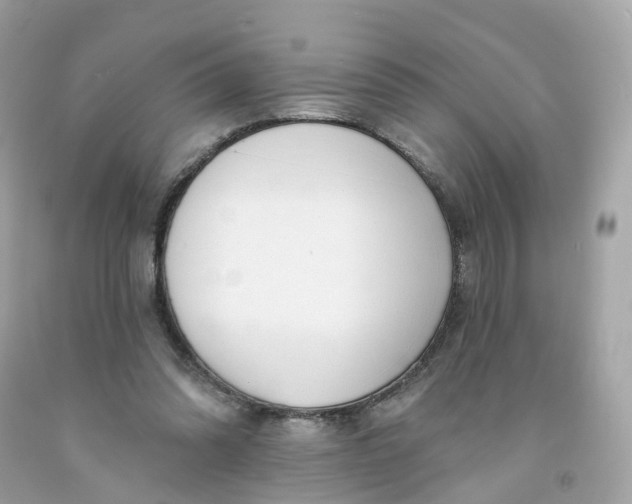 X0000091470302200709061824