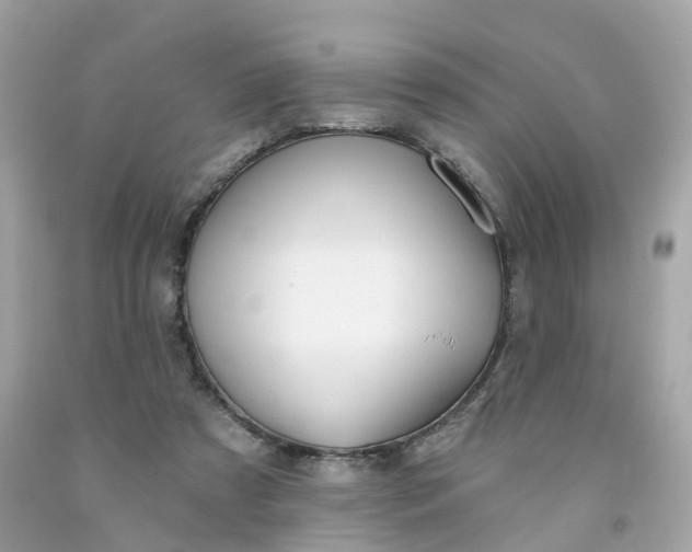 X0000091470305200709061824