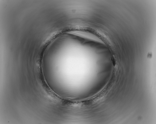 X0000091470306200709061824