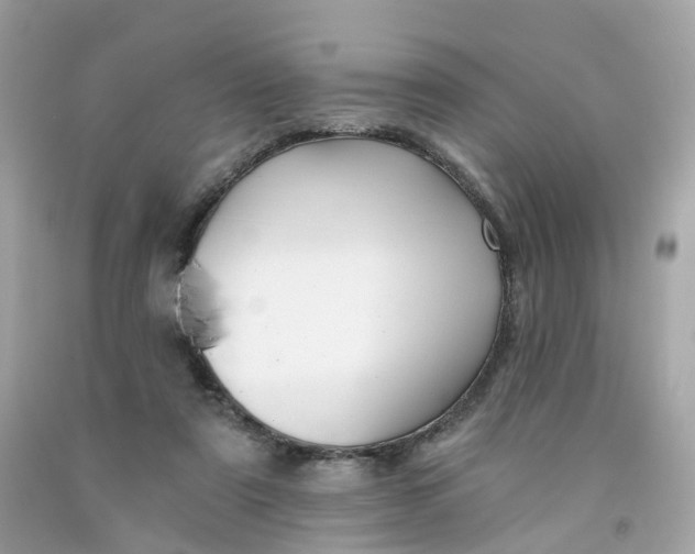 X0000091470307200709061824