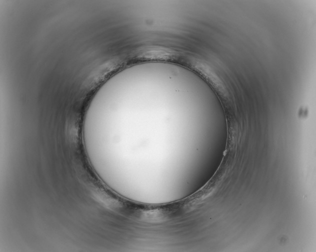 X0000091470309200709061824