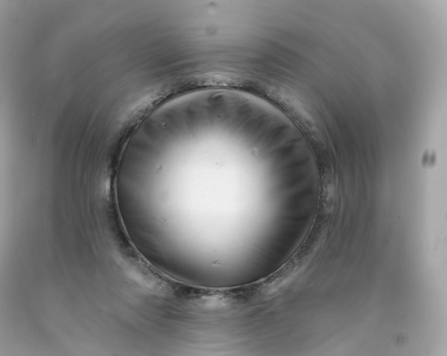 X0000091470310200709061824