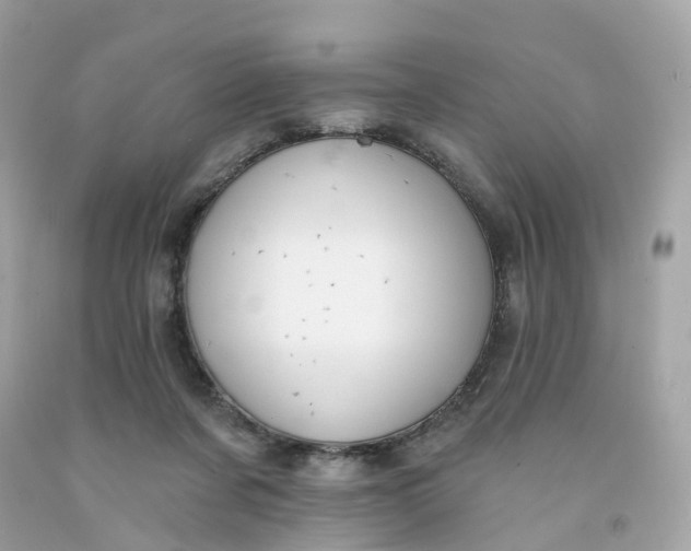 X0000091470311200709061824