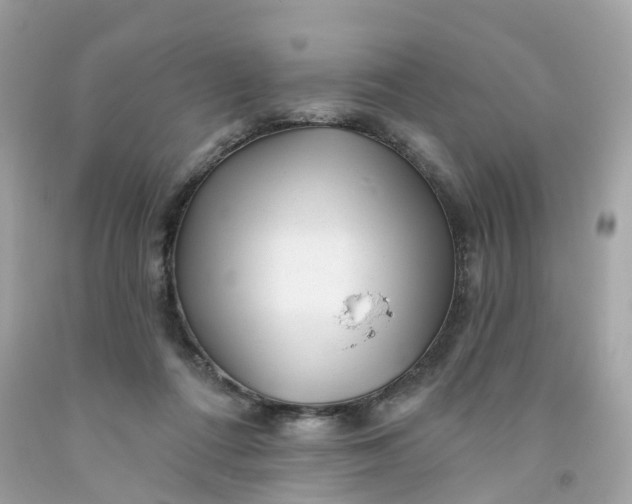 X0000091470312200709061824