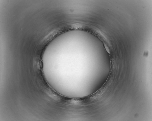 X0000091470313200709061824