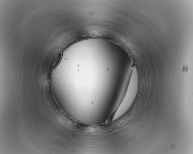 X0000091470317200709061824