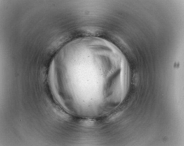 X0000091470318200709061824