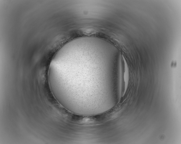 X0000091470319200709061823