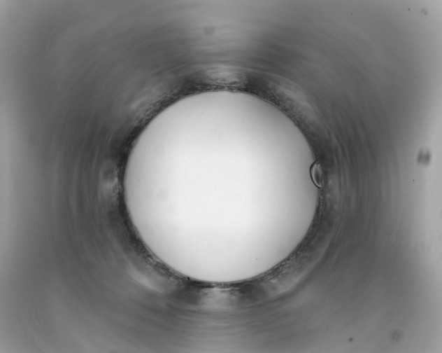 X0000091470320200709061823