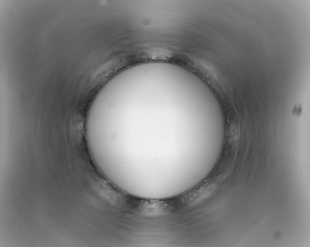 X0000091470321200709061823