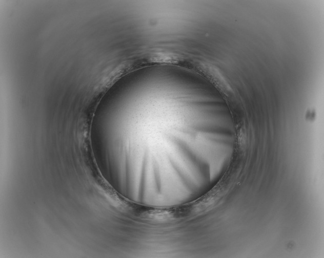 X0000091470322200709061823