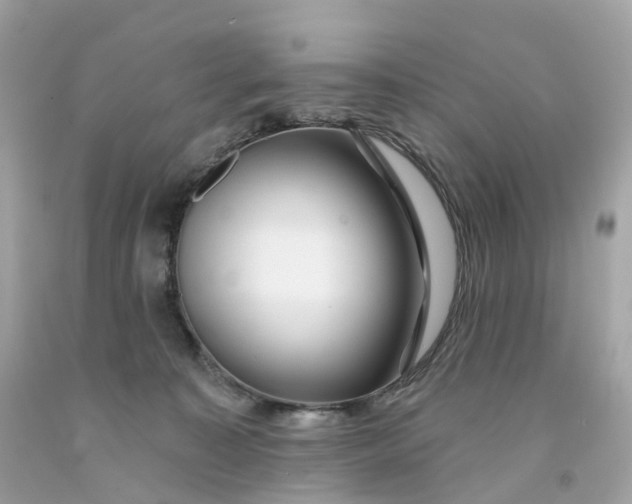 X0000091470323200709061823