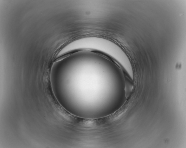 X0000091470325200709061823