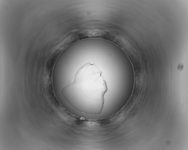 X0000091470327200709061823