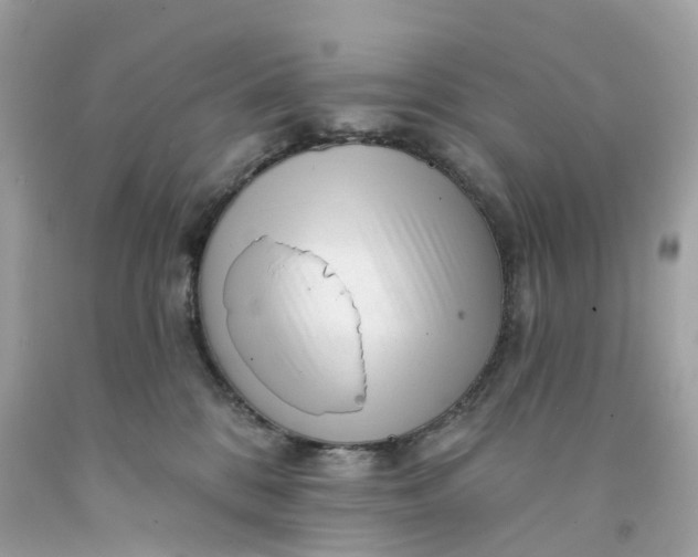 X0000091470328200709061823