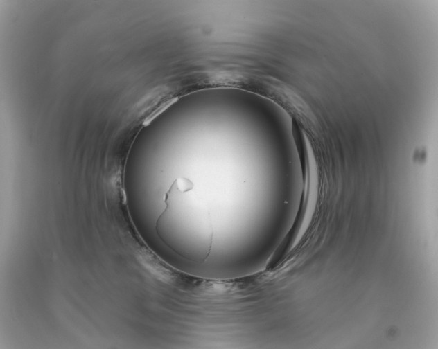 X0000091470329200709061823