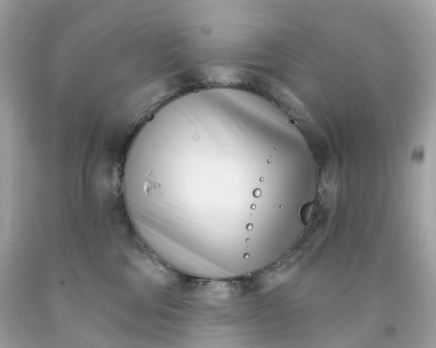 X0000091470330200709061823