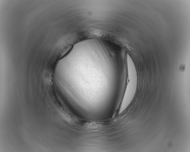 X0000091470331200709061823