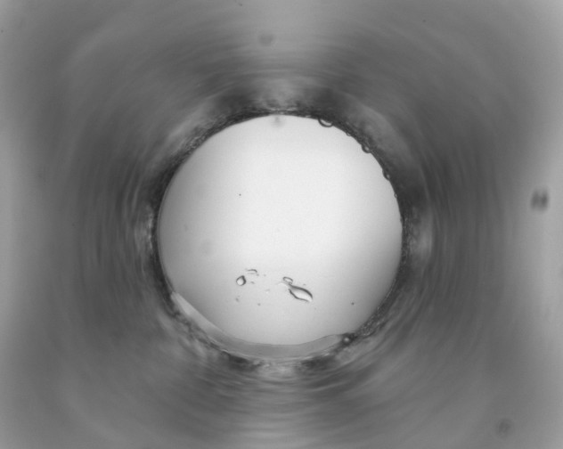 X0000091470332200709061823