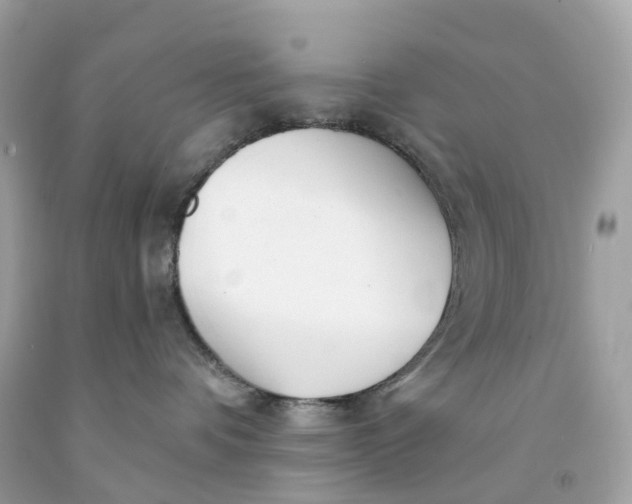 X0000091470336200709061823