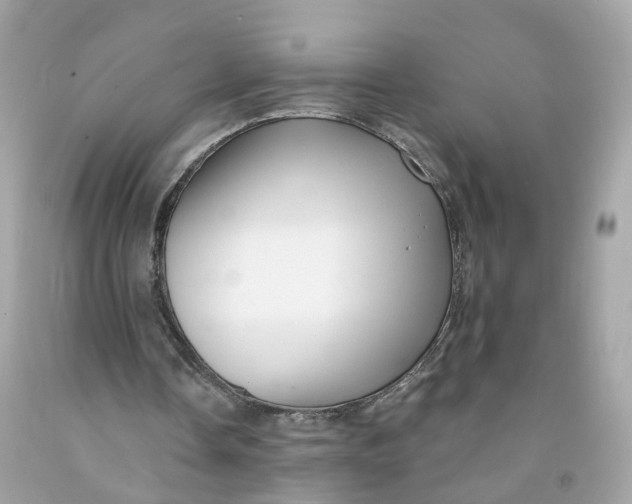 X0000091470338200709061823