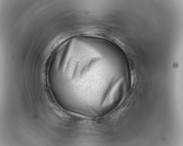 X0000091470339200709061823