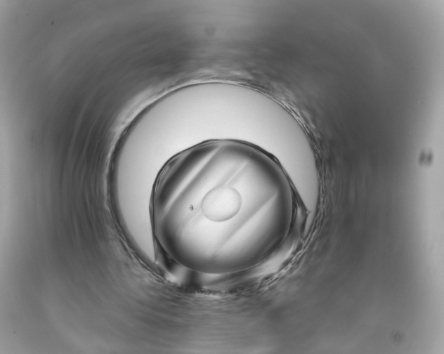 X0000091470340200709061823