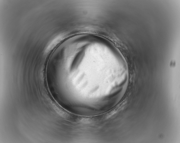 X0000091470341200709061823