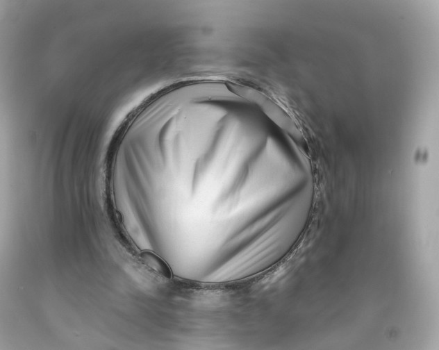 X0000091470342200709061823