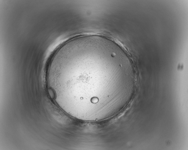 X0000091470343200709061823